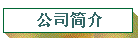 ˾