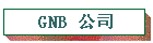 GNB ˾