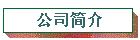 ˾