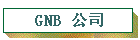 GNB ˾